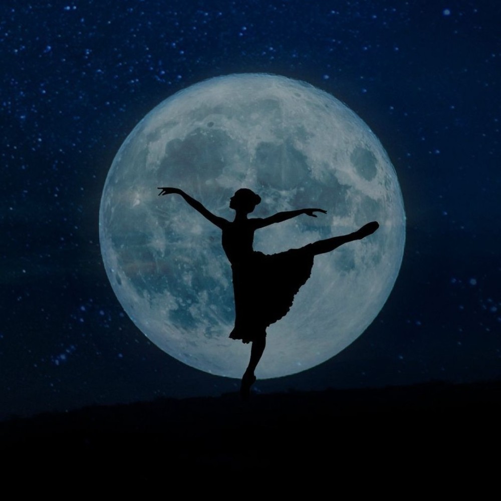 Meet your Posher, Malina